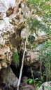 The entrance of a cave on a Mogote hill at Vinales, Cuba