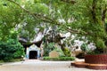 Entrance of cave at Wat Suwan Khuha temple in Phang-nga