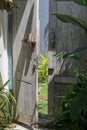 Entrance a Door with green tropical plants of a villa in Canggu