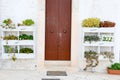 Entrance door of a house decorated with cactus plants Royalty Free Stock Photo