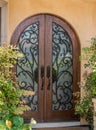 Entrance door Royalty Free Stock Photo