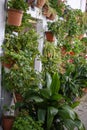 Entrance door to a house decorated with plants from the Jewish Quarter in Hervas Royalty Free Stock Photo