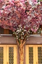 Entrance door under the blooming tree. Pink and white flowers