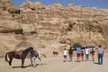 Entrance of the famous ancient city Petra, southern Jordan