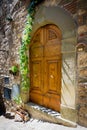 Entrance - front wooden retro door