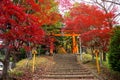 entrance gate of Chureito pagoda with autumn leaf Royalty Free Stock Photo