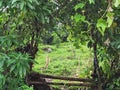 Entrance gate for the wonderful place with beautiful surroundings and scenery where you can feel the goodness of nature