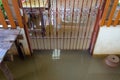 entrance of a House fully flooded