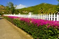 The entrance leading to a hotel in the windward islands Royalty Free Stock Photo