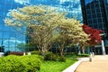 Entrance of Modern Office Building Royalty Free Stock Photo