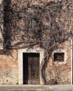 Entrance of an old abandoned house with a large dead climbing plant that completely obstructs the upper window