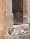 Entrance old door wood with lying cat at Roussillon Village Provence France Royalty Free Stock Photo