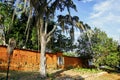 Entrance of old house with trees in Barichara, Colombia Royalty Free Stock Photo