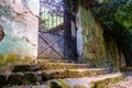 Entrance in an old mansion with stairs full of leaves and a rusty fence Royalty Free Stock Photo