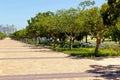 Entrance or path to Green Point Park in Cape Town Royalty Free Stock Photo