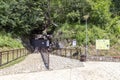 Entrance in the Resava cave, Serbia