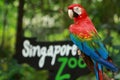 Entrance of the Singapore Zoo