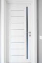 Entrance stylish white door. Interroom modern. Handle, Interior