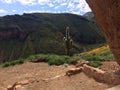 Saguaro stands as sentry in front of Tonto National Monument Cliff dwellings