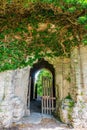 Entrance to an ancient ruin building covered with green creeper plant in Visby Gotland Sweden.