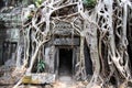 Entrance to Angkor Thom temple