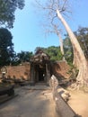 Entrance to angkor wat , snakes statues, hindu culture, old trees, beautiful temple, cambodia