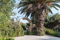 The entrance to the archaeological site Tel Shilo in Samaria region in Benjamin district, Israel