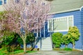 Entrance to blue house with blooming pink cherry flower in suburban Seattle Royalty Free Stock Photo