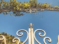 Entrance to the botanic garden in Tbilisi. Beautiful iron gate against the blue sky. Summer day in the city Royalty Free Stock Photo