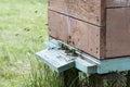 Entrance to a brown wooden beehive closeup. Bees fly into the house. Insects collect honey in a rural