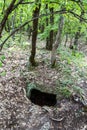 Entrance to the cave hidden in the woods