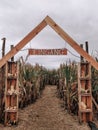 Entrance to corn maze and overcast sky Royalty Free Stock Photo