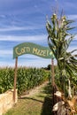Entrance to corn maze sign and cornstalks with cloudy blue sky early fall afternoon Royalty Free Stock Photo