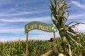 Entrance to corn maze sign and cornstalks with cloudy blue sky early fall afternoon Royalty Free Stock Photo