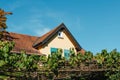 Entrance To The Court Of The Typical French Rural House Decorated With The Golden Vineyard With Ripe Black Grapes. Retro Royalty Free Stock Photo