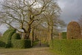 Entrance to a fancy garden with lane of oak trees and trimmed hedges