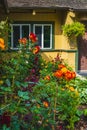 Entrance to a home through a beautiful garden with colorful flowers. Front of a house with Garden design Royalty Free Stock Photo