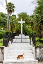 Entrance to Immaculate Conception Cathedral grounds, white stairs leading to the Holy Cross with tropical plants and palm trees Royalty Free Stock Photo