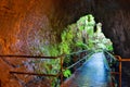 Entrance to the lava tube Royalty Free Stock Photo