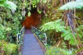 Entrance to the lava tube