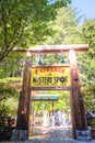 Entrance to Mystery spot museum in Santa Cruz