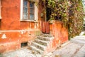 Entrance to the old house overgrown with wild grapes