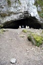 Entrance to Pekarna cave in Moravsky kras