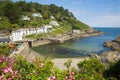 Entrance to Polperro Cornwall with pink flowers