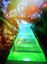 Entrance to the pool on illuminated steps Royalty Free Stock Photo