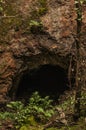 Entrance to a small cave with a thin tree in the French Pyrenees mountains