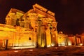 Entrance to The Temple of Sobek and Horus at Kom Ombo in the night