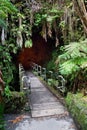 Thurston Lava Tube