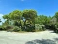 The Entrance to Trump National Golf Club in Jupiter, Florida