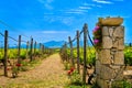 Entrance to vineyard fields on Crete island, Greece, on sunny day Royalty Free Stock Photo